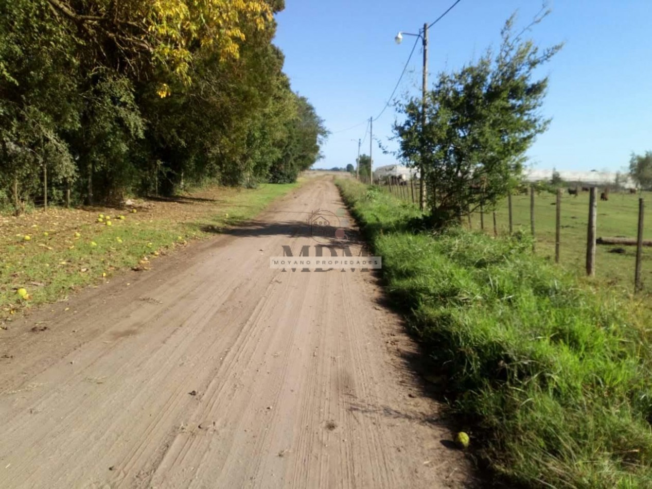 8 Hectareas en Gral. Madariaga