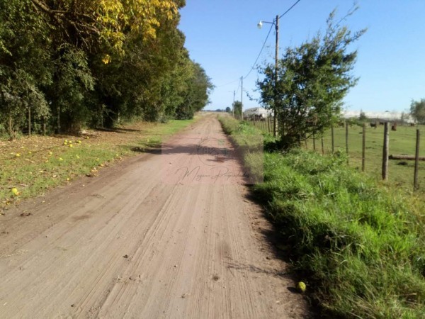 2 1/2 hectareas en Gral. Madariaga