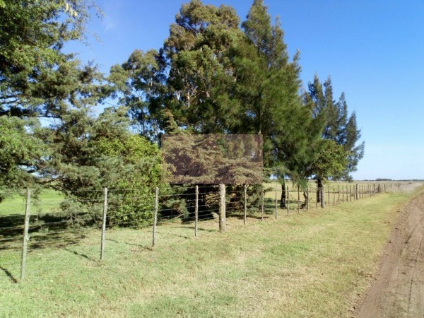 2 1/2 hectareas en Gral. Madariaga