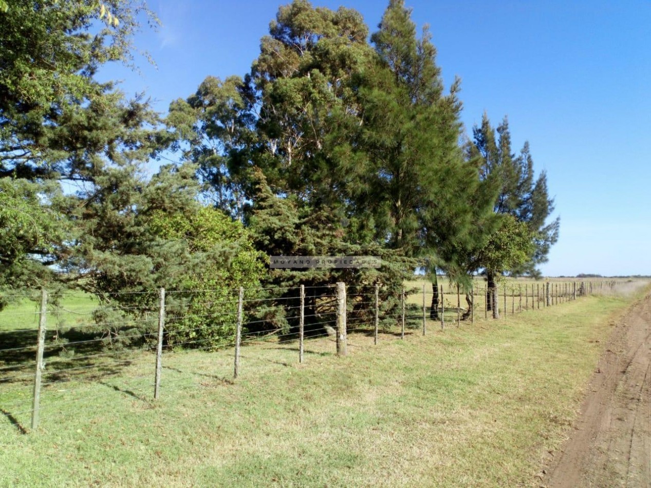 8 Hectareas en Gral. Madariaga