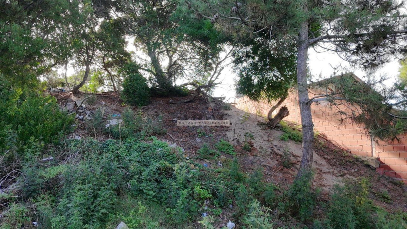 Oportunidad Unica en el Corazon de Villa Gesell - Lote Ideal para Desarrollo Residencial o Turistico
