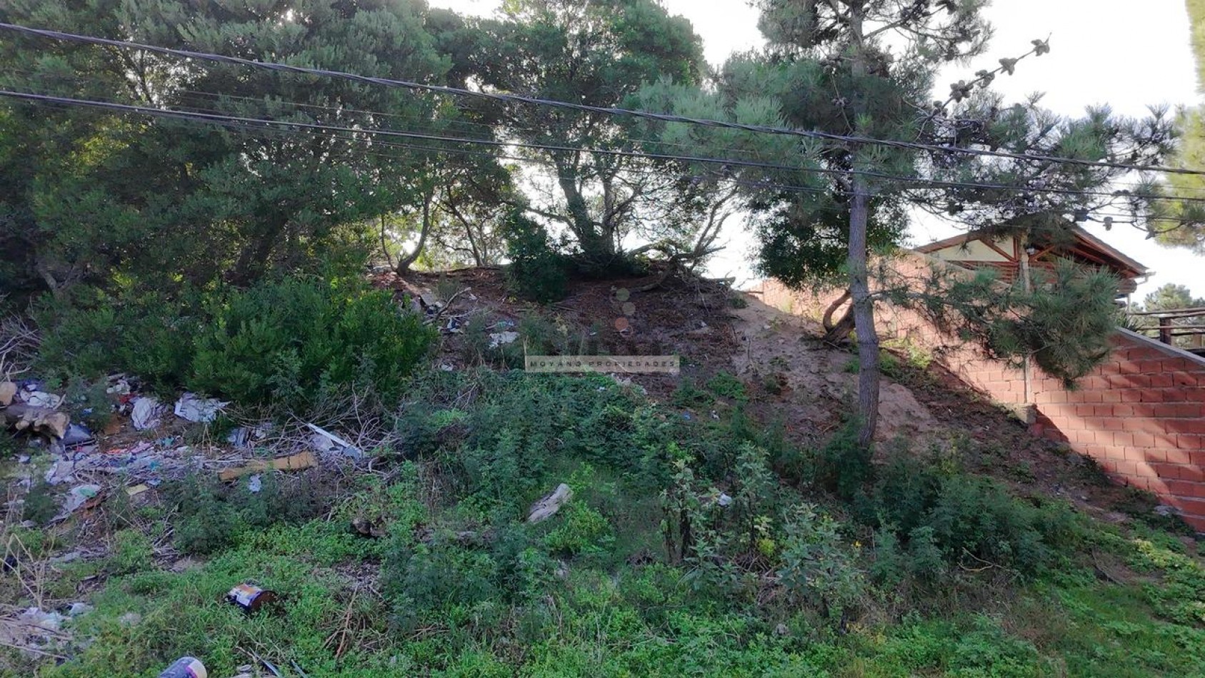 Oportunidad Unica en el Corazon de Villa Gesell - Lote Ideal para Desarrollo Residencial o Turistico