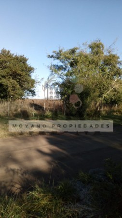8 Hectareas en Gral. Madariaga