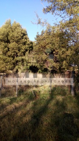 8 Hectareas en Gral. Madariaga