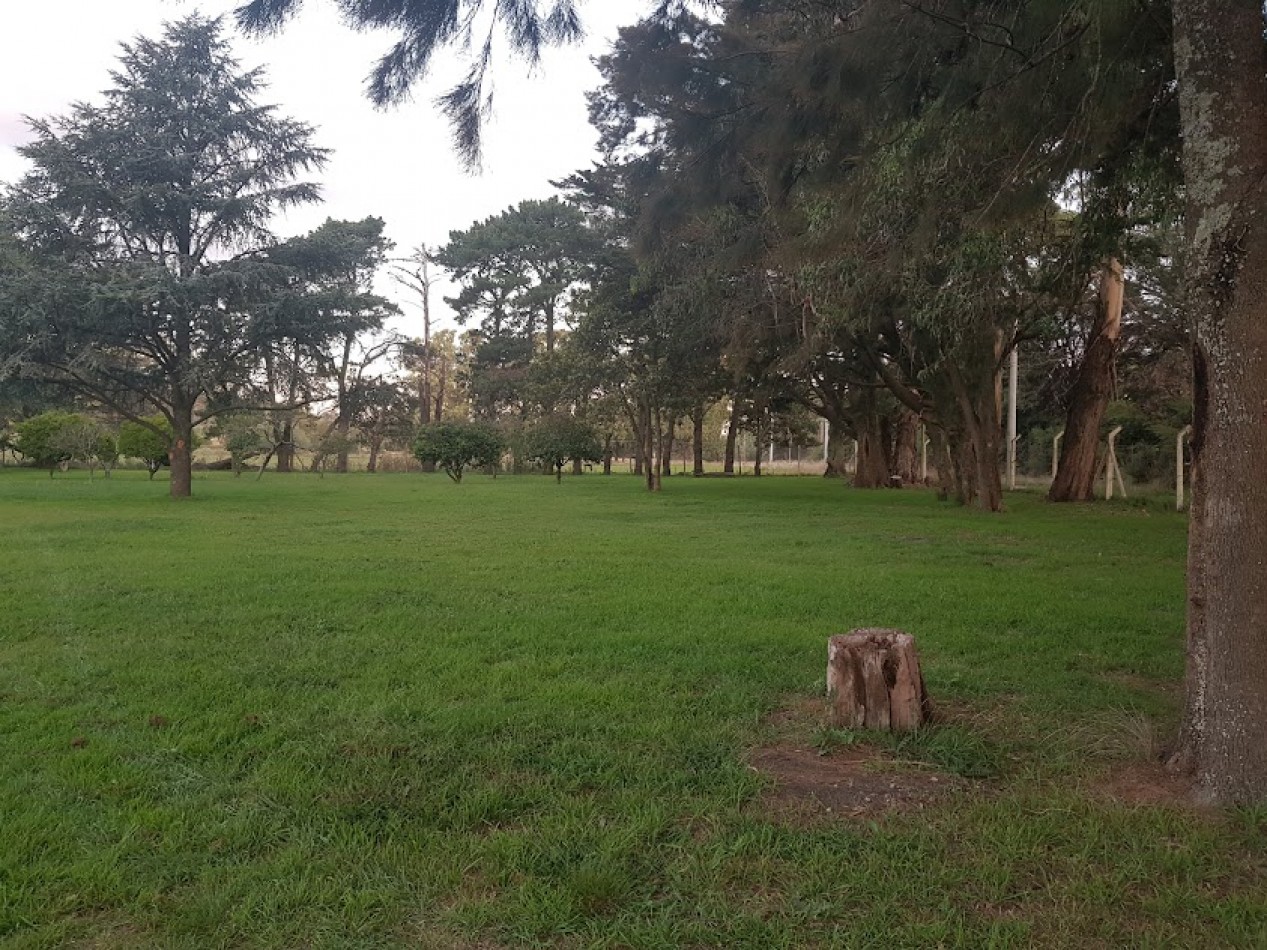 VENTA PREDIO 6 HECTAREAS Y MEDIA SIERRA DE LOS PADRES CON CASA Y CABALLERIZAS