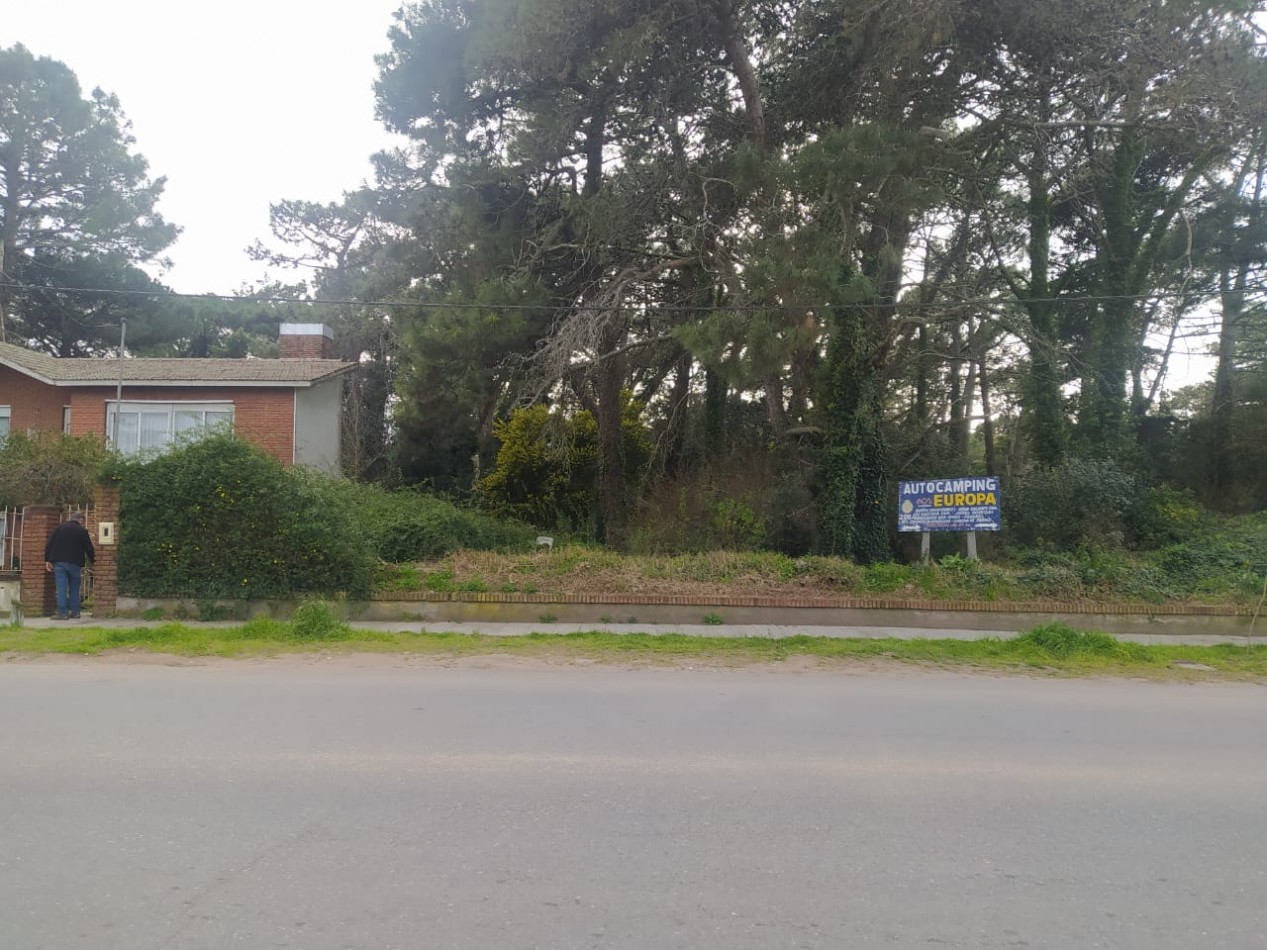 Lote