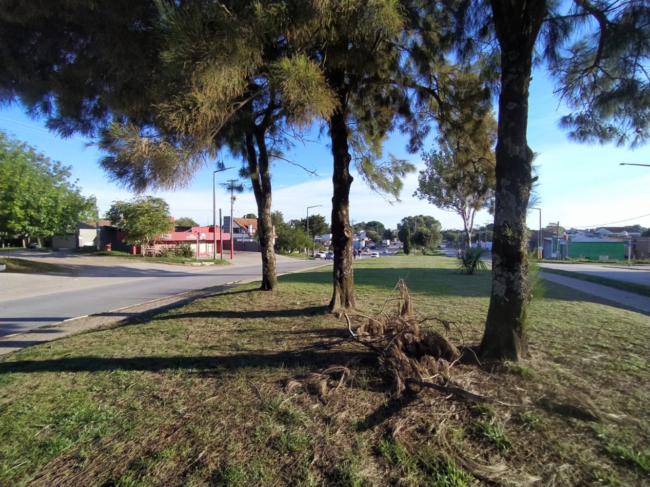 UNICO E INMEJORABLE LOTE EN VENTA SOBRE BOULEVARD SILVIO GESELL